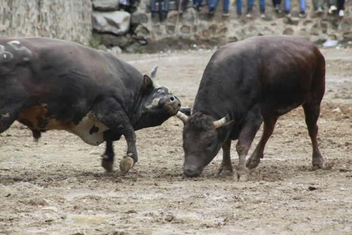 Binlerce kişi heyecanla izledi Binlerce kişi heyecanla izledi