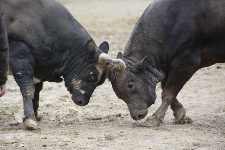Binlerce kişi heyecanla izledi Binlerce kişi heyecanla izledi