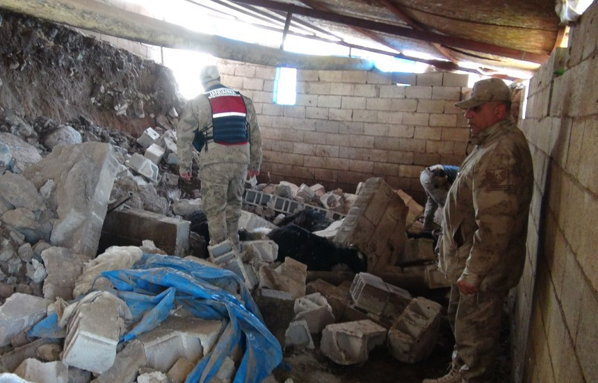 Yağmur sonucu ahır çöktü, 40 koyun öldü