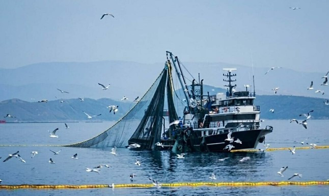 Balık tutkunları dikkat: Tarih belli oldu, av yasağı başlıyor