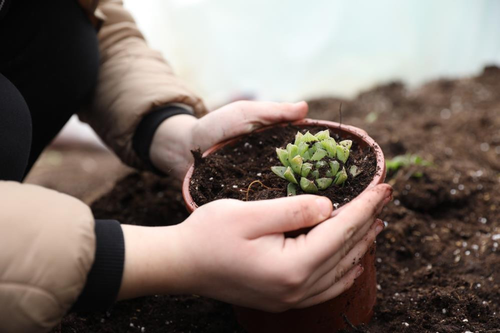 2 yılda hayatı değişti Aylık 100 bin TL gelir elde ediyor | Türkiyenin her yerinden talep var 2 yılda hayatı değişti Aylık 100 bin TL gelir elde ediyor | Türkiyenin her yerinden talep var