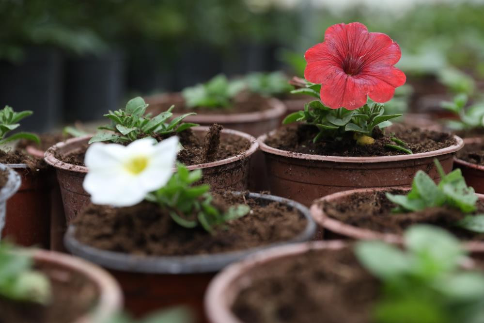 2 yılda hayatı değişti Aylık 100 bin TL gelir elde ediyor | Türkiyenin her yerinden talep var 2 yılda hayatı değişti Aylık 100 bin TL gelir elde ediyor | Türkiyenin her yerinden talep var