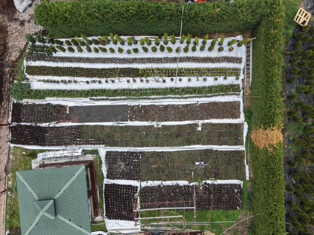 2 yılda hayatı değişti Aylık 100 bin TL gelir elde ediyor | Türkiyenin her yerinden talep var 2 yılda hayatı değişti Aylık 100 bin TL gelir elde ediyor | Türkiyenin her yerinden talep var