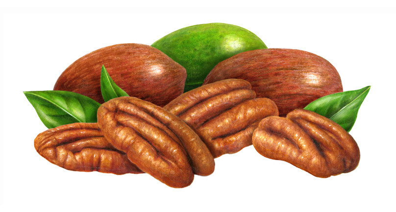 DİĞER KURUYEMİŞLERLE KARŞILAŞTIRILDIĞINDA NASIL SONUÇLAR ORTAYA ÇIKIYOR