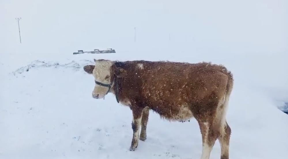 Dar geçitlerden evlerine ulaşmaya çalışıyorlar 5 aydır bu haldeyiz, köy görünmüyor