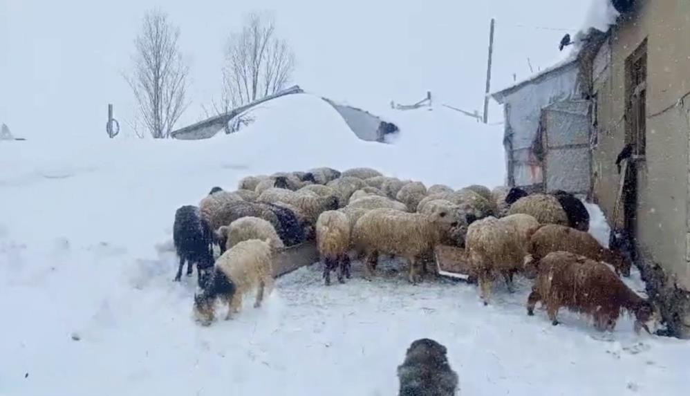 Dar geçitlerden evlerine ulaşmaya çalışıyorlar 5 aydır bu haldeyiz, köy görünmüyor