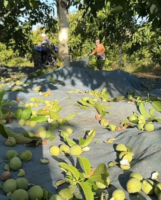 Biten evliliğinin ardından kendini doğaya adamıştı... Baba-oğulun büyük tutkusu Biten evliliğinin ardından kendini doğaya adamıştı... Baba-oğulun büyük tutkusu