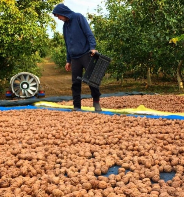 Biten evliliğinin ardından kendini doğaya adamıştı... Baba-oğulun büyük tutkusu Biten evliliğinin ardından kendini doğaya adamıştı... Baba-oğulun büyük tutkusu