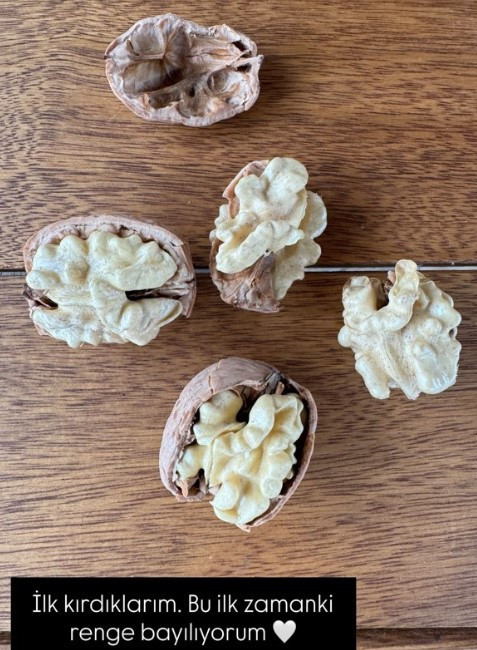 Biten evliliğinin ardından kendini doğaya adamıştı... Baba-oğulun büyük tutkusu Biten evliliğinin ardından kendini doğaya adamıştı... Baba-oğulun büyük tutkusu