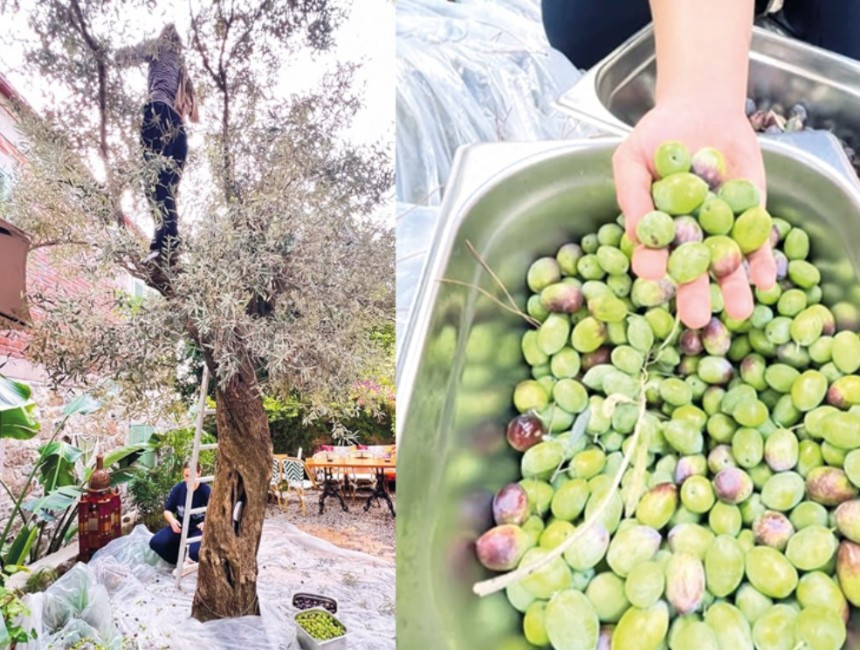 Biten evliliğinin ardından kendini doğaya adamıştı... Baba-oğulun büyük tutkusu Biten evliliğinin ardından kendini doğaya adamıştı... Baba-oğulun büyük tutkusu