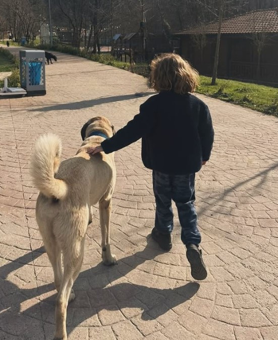 Biten evliliğinin ardından kendini doğaya adamıştı... Baba-oğulun büyük tutkusu Biten evliliğinin ardından kendini doğaya adamıştı... Baba-oğulun büyük tutkusu