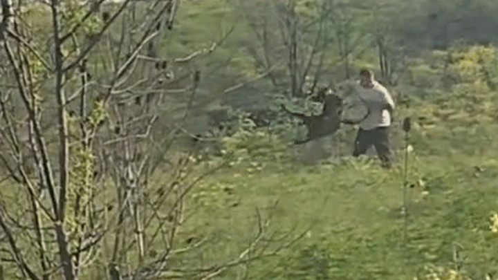 Çevredekilerin tepkilerine aldırış etmedi! Avcılar'da köpeğe şiddet kamerada... Şüpheli aranıyor