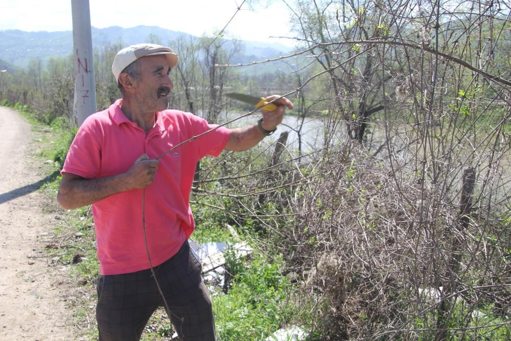  1500 liradan satıyor | 30 yıl çürümüyor, elimde 5 tane kaldı