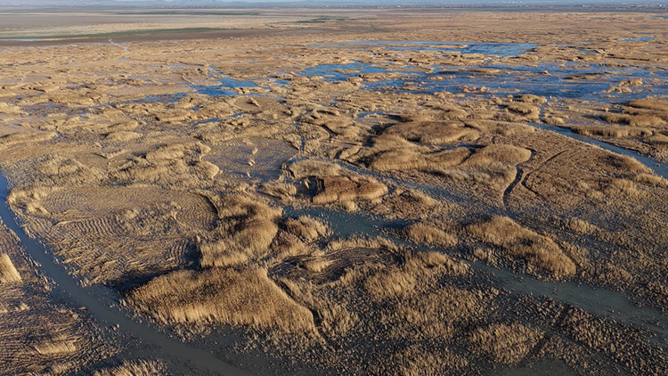 Türkiye'deki en önemli yerlerden biri: Yıllar sonra bir ilk yaşandı