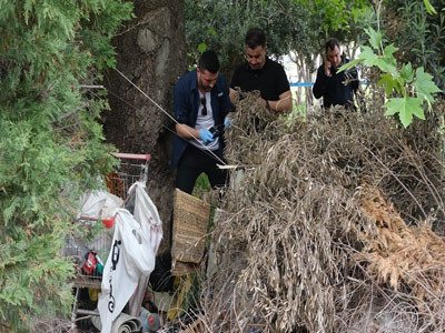 Antalya'da şüpheli ölüm! Ağaç altında bulundu