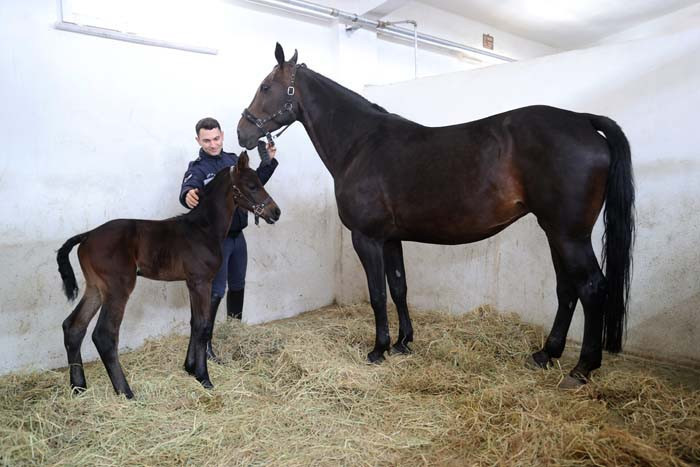  20den fazla ile gönderiliyor Jandarmanın en büyük destekçisi