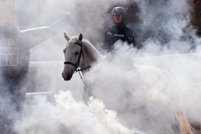Nevşehir'de yetişiyor: 20'den fazla ile gönderiliyor! Jandarmanın en büyük destekçisi