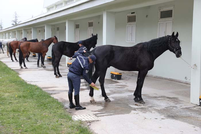  20den fazla ile gönderiliyor Jandarmanın en büyük destekçisi