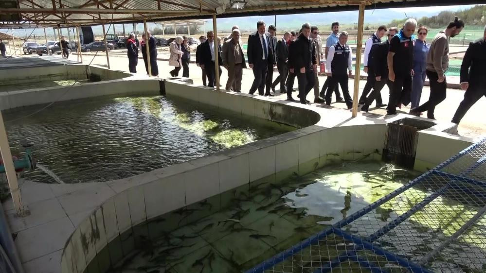  Çiple takip edecekler Kilosu 2 bin dolardan satılıyor