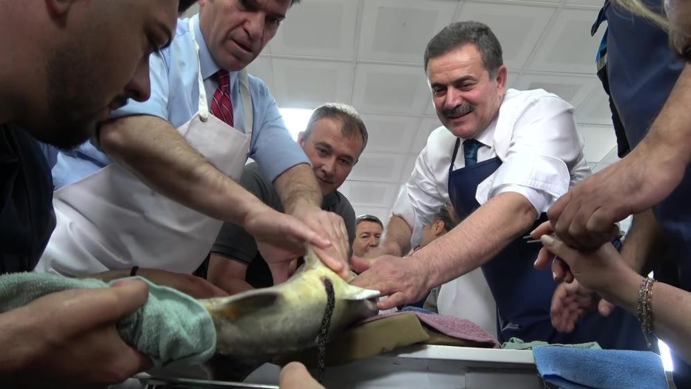  Çiple takip edecekler Kilosu 2 bin dolardan satılıyor