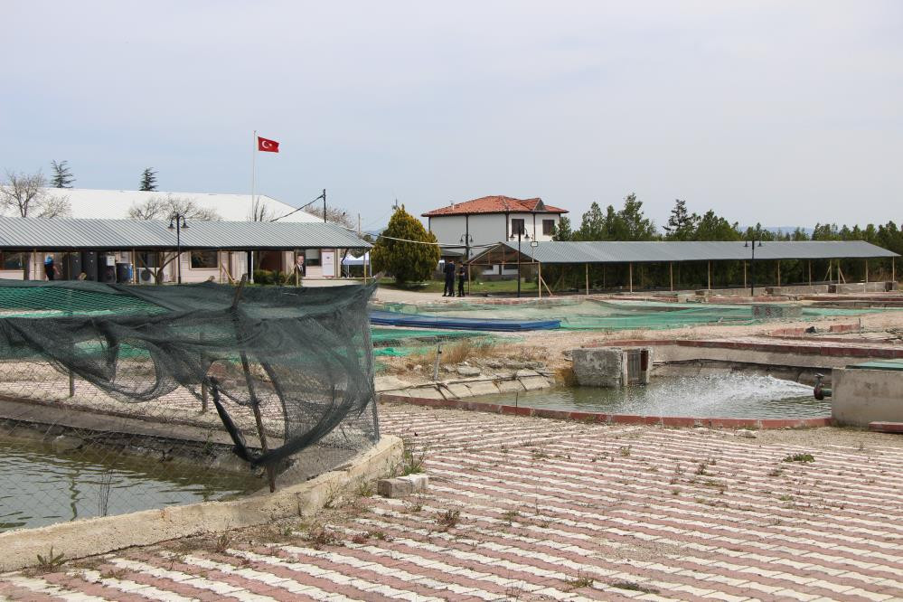  Çiple takip edecekler Kilosu 2 bin dolardan satılıyor