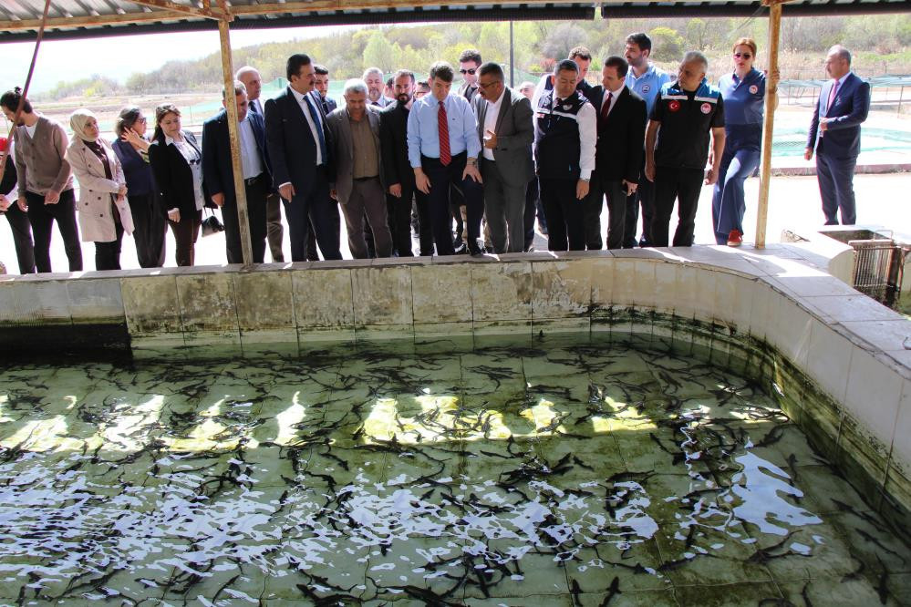  Çiple takip edecekler Kilosu 2 bin dolardan satılıyor