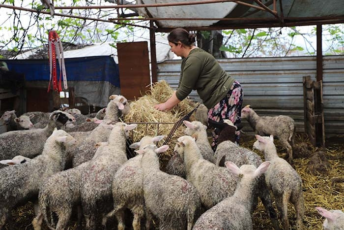 Doğan bütün torunlarına aynı hediyeyi veriyor: Hayatlarını değiştirdi Yaşam kaynağımız oldu, çoğaldıkça biz de heveslendik