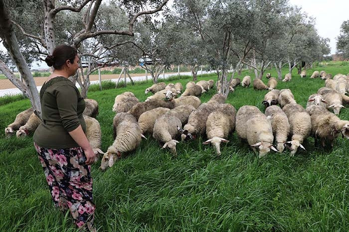 Doğan bütün torunlarına aynı hediyeyi veriyor: Hayatlarını değiştirdi Yaşam kaynağımız oldu, çoğaldıkça biz de heveslendik
