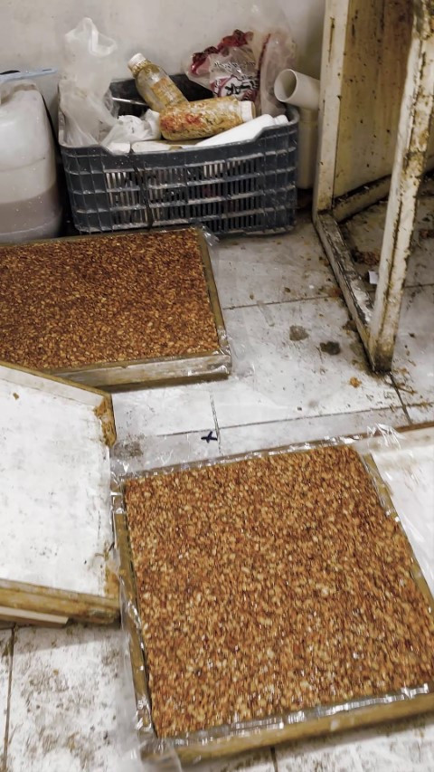 Ekipler tesadüfen fark etti Kötü kokuların geldiği eve girilince mide bulandıran gerçek ortaya çıktı