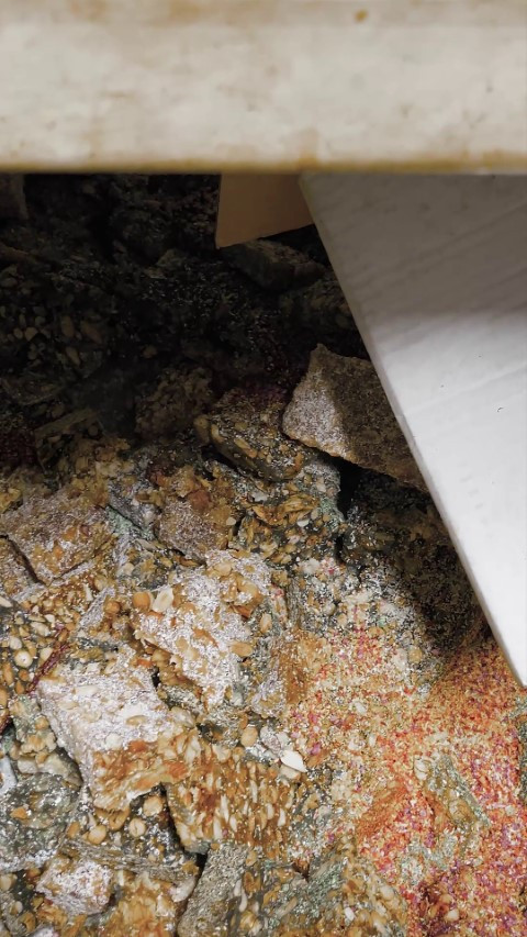 Ekipler tesadüfen fark etti Kötü kokuların geldiği eve girilince mide bulandıran gerçek ortaya çıktı