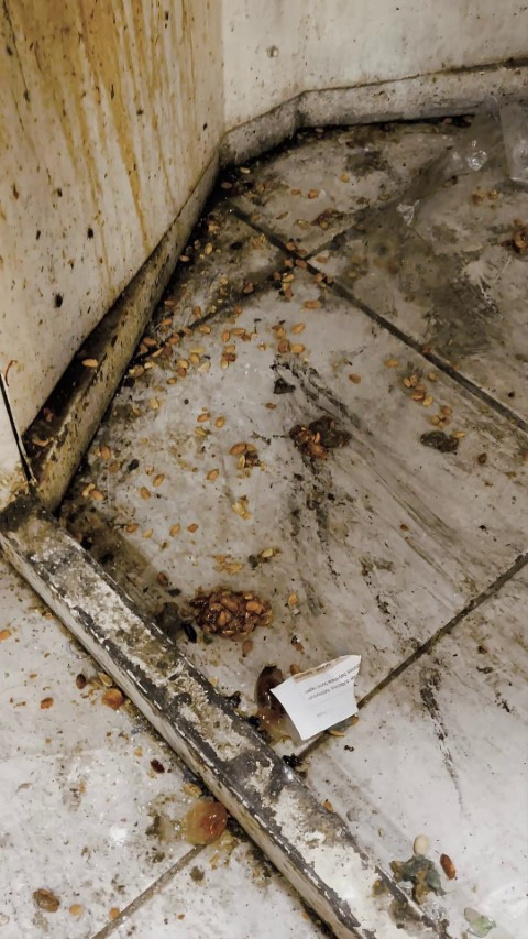 Ekipler tesadüfen fark etti Kötü kokuların geldiği eve girilince mide bulandıran gerçek ortaya çıktı