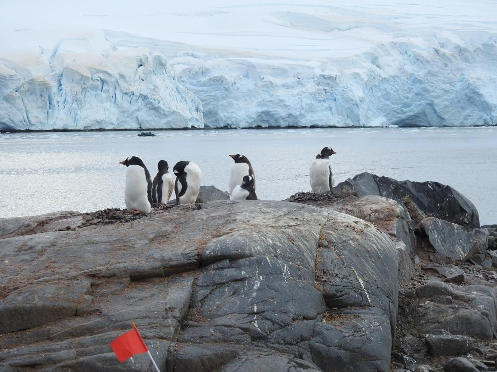  Bölgeye giden en genç Türk oldu Hayalimi gerçekleştirdim