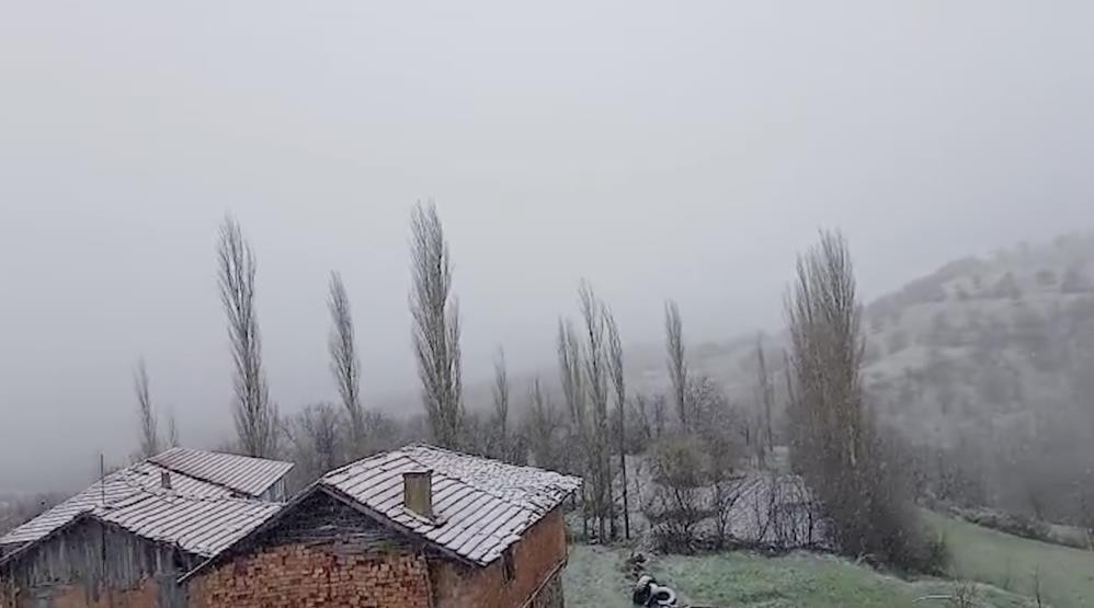 69ea0d0a3a5a98d212b0f9df.jpg