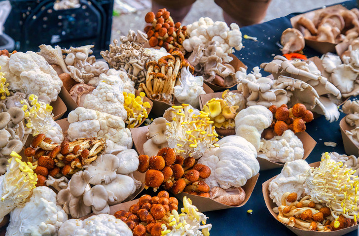 Bağışıklığı güçlendiriyor, beyni koruyor: Sofraların gizli süper besini mantar