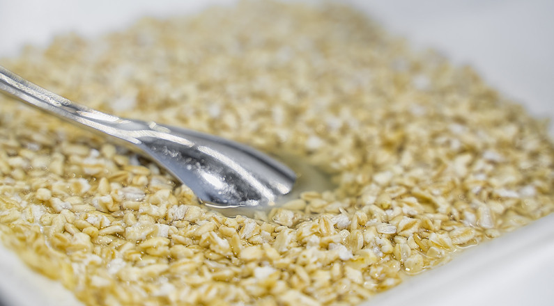 Uzun süreli tokluk ve enerji için yulaf