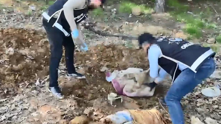 Pendik'te operasyon: Toprak altındaki depoda binlerce silah parçası bulundu! 4 şüpheli gözaltında