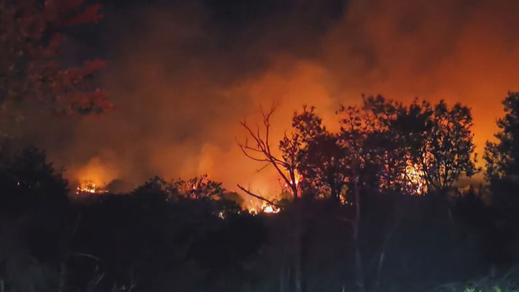 Beykoz'da orman yangını: Alevler kontrol altına alındı