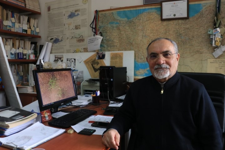 Sağanakla yuvalarını su basınca yüzeye çıktılar | Bu alışılmış bir durum değil