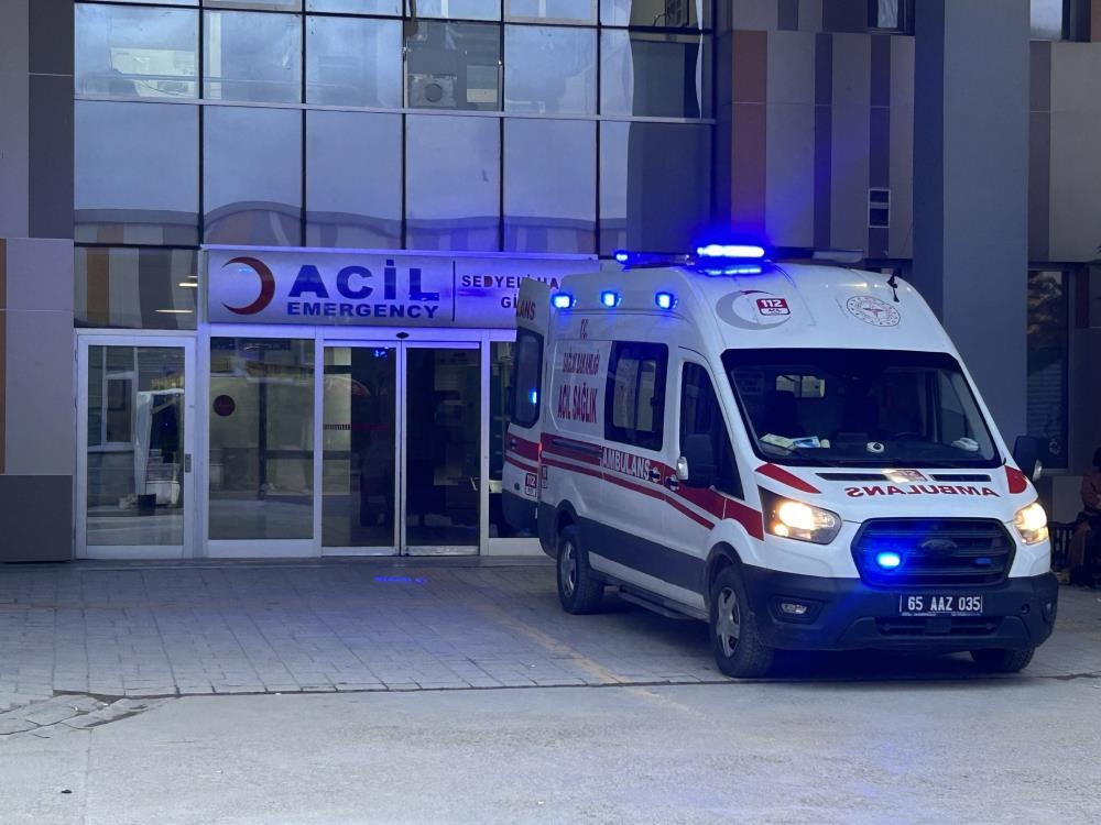 Van'da sokak köpeği dehşeti! 5 yaşındaki çocuk hayatını kaybetti