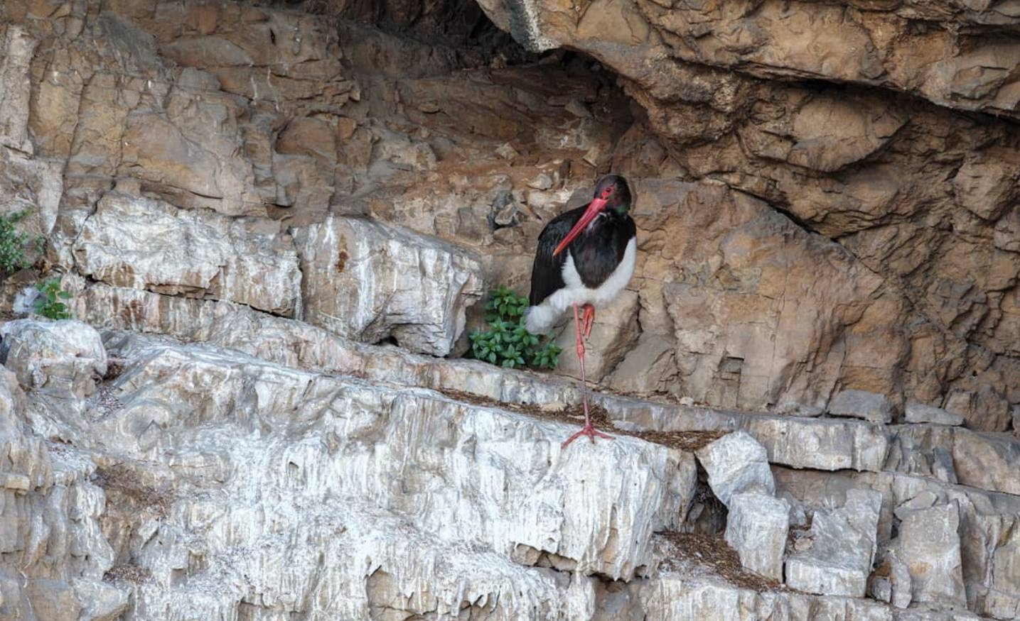 Cehennem Deresi Kanyonunda fotoğraflandı Cehennem Deresi Kanyonunda fotoğraflandı