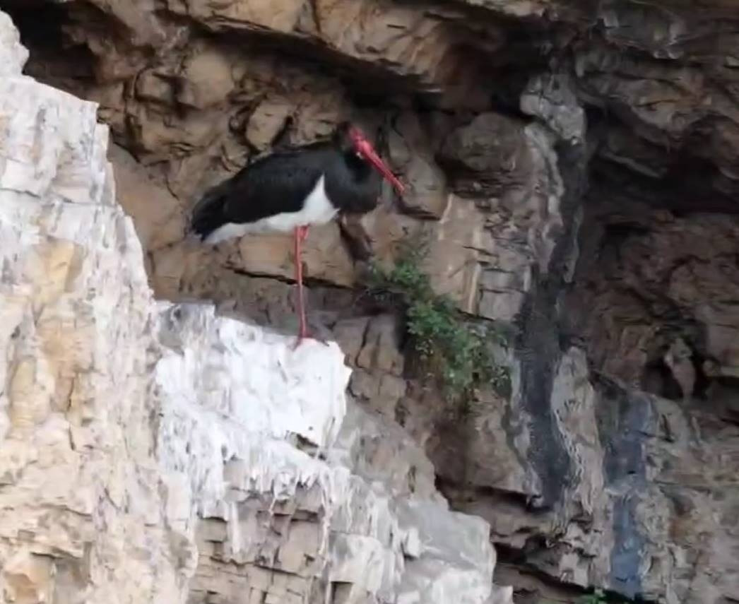 Cehennem Deresi Kanyonunda fotoğraflandı Cehennem Deresi Kanyonunda fotoğraflandı