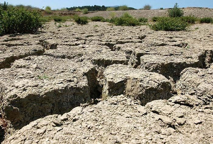  El Nino ile normallerin üzerine çıkacak