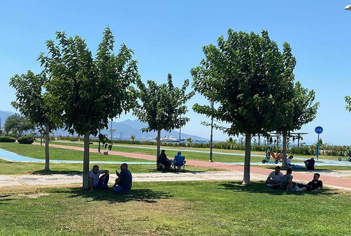  El Nino ile normallerin üzerine çıkacak