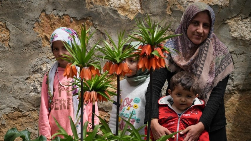 Doğada koparmanın cezası 700 bin lira 3 çocuk evlerinin bahçesinde yetiştiriyor | Gözümüz gibi bakıyoruz