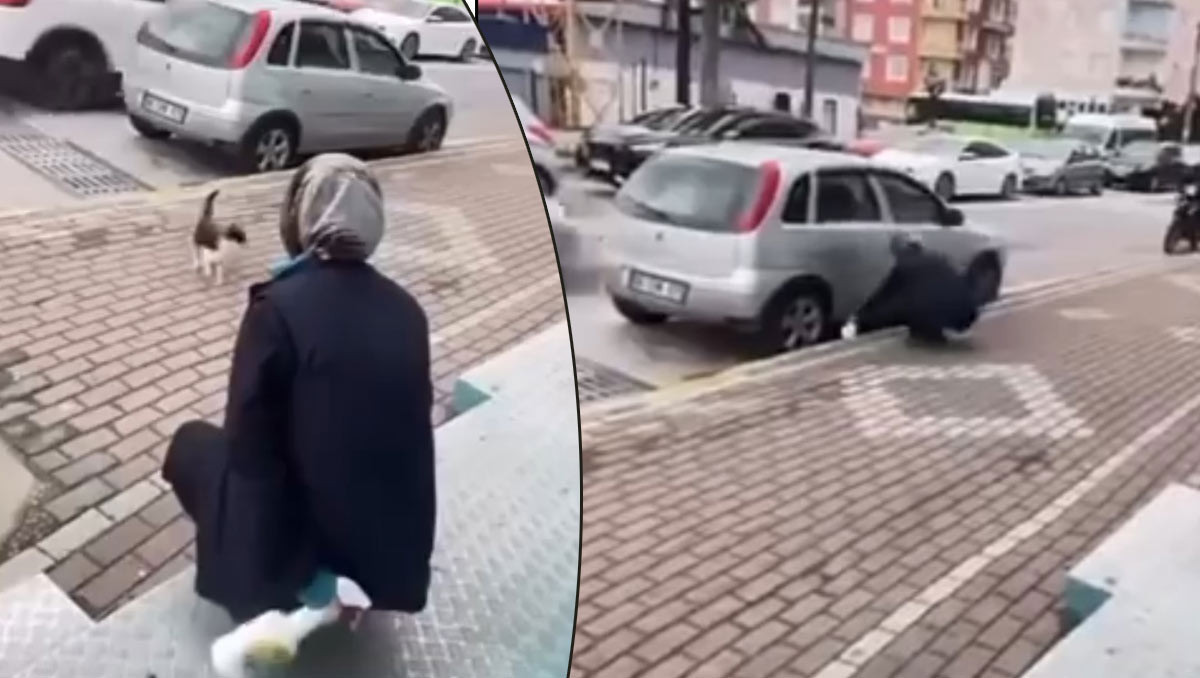 Kedinin yüzüne sprey sıkan market çalışanı gözaltına alındı