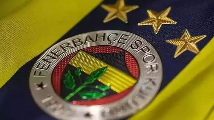 FENERBAHÇE BAŞKANLIK SEÇİMİ NE ZAMAN YAPILACAK