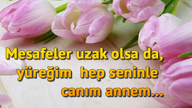DUYGUSAL RESİMLİ ANNELER GÜNÜ MESAJLARI VE SÖZLERİ 2026 (En güzel Anneler Günü kutlama mesajları) | Anne ile ilgili sözler: Eşe, kayınvalideye, ablaya , arkadaşa iletilecek anlamlı, farklı, değişik, kısa, resimli Anneler Günü mesajları