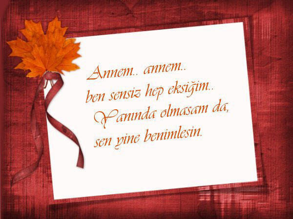 DUYGUSAL ANNELER GÜNÜ MESAJLARI