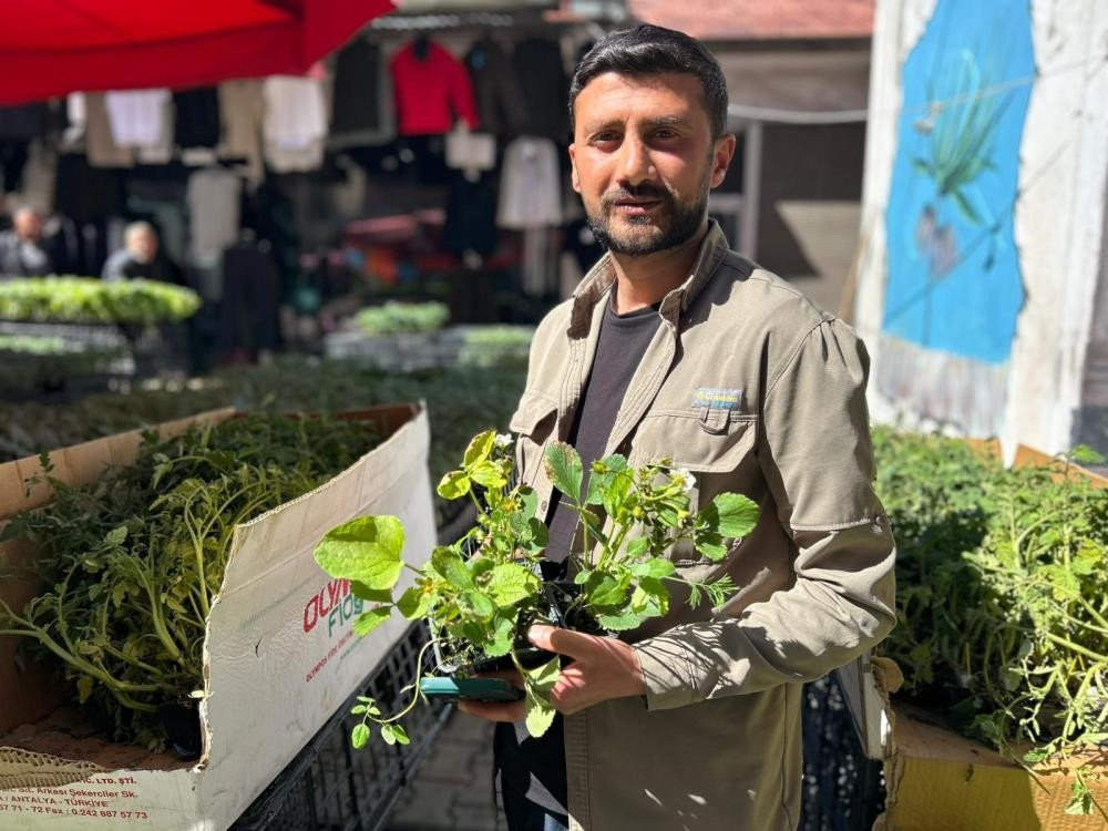 10 liradan satılıyor Yaklaşık 2 aylık süremiz var 10 liradan satılıyor Yaklaşık 2 aylık süremiz var