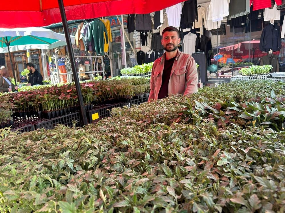 10 liradan satılıyor Yaklaşık 2 aylık süremiz var 10 liradan satılıyor Yaklaşık 2 aylık süremiz var